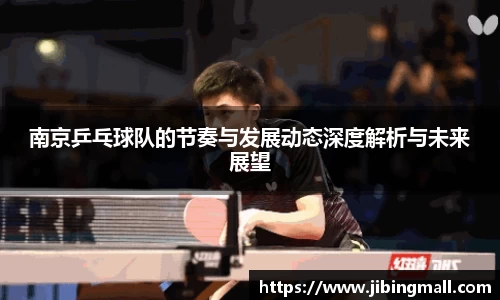 南京乒乓球队的节奏与发展动态深度解析与未来展望